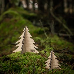 Juletræ med navn Valnød H: 10 cm - HØJTIDER > JUL > JULEPYNT - Living Nature