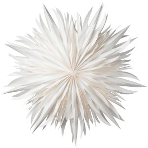 Eldig julestjerne, 52 cm, hvid