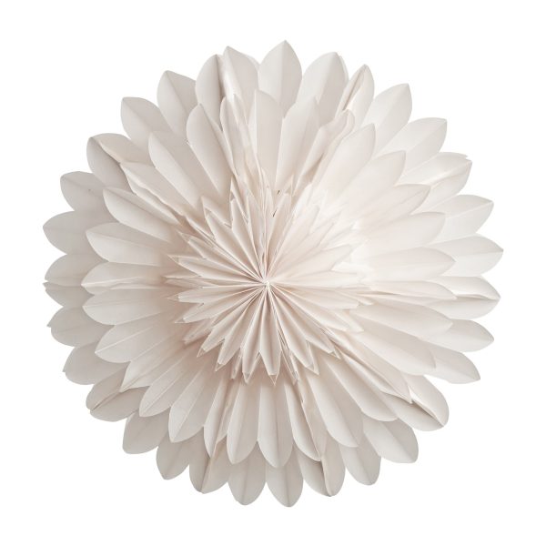 Lotus julestjerne 44 cm, white