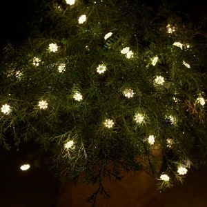 Sirius - Silke miniblomst 40 lys med timer, Klar/Grøn